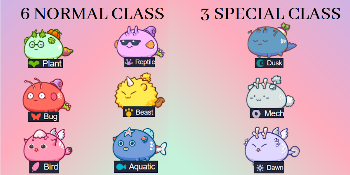 Special class axie