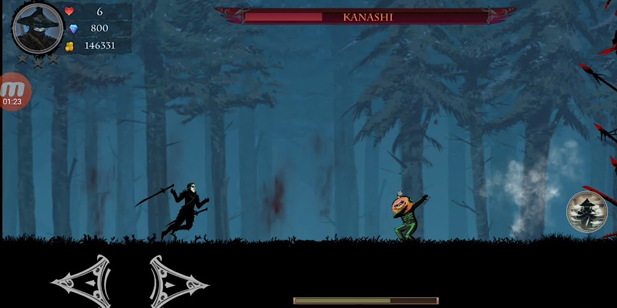 Ninja Arashi