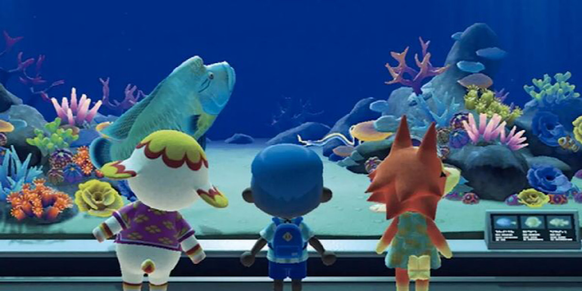 Animal Crossing: New Horizons ร่วมพิพิธภัณฑ์สัตว์น้ำ