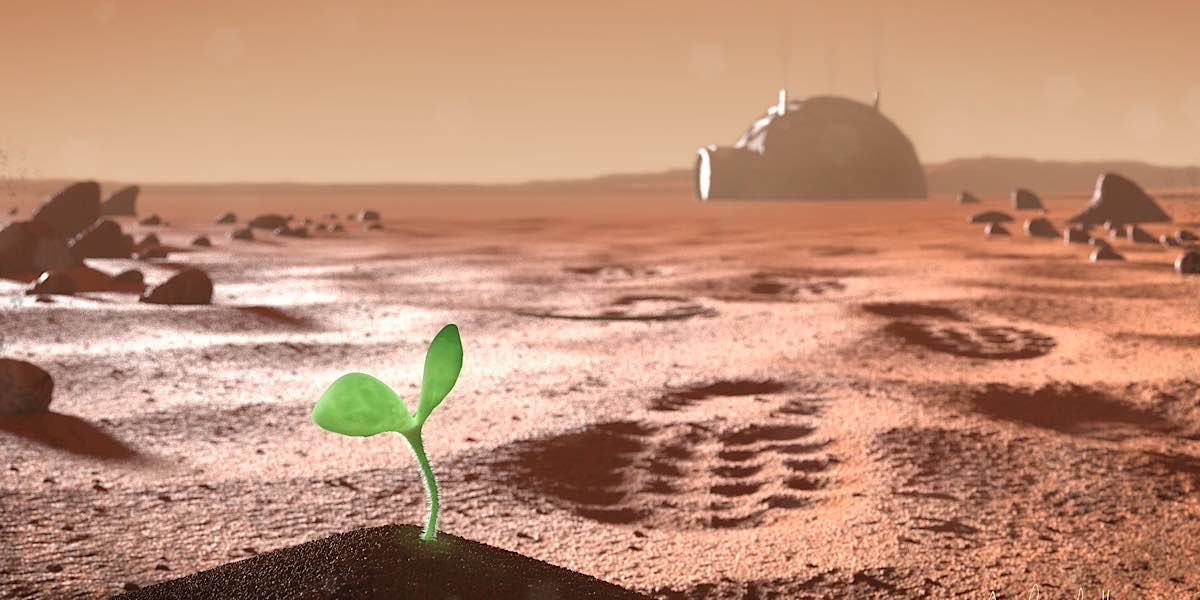 เกม Terragenesis: Landfall