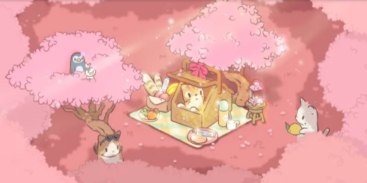 Cats & Soup เปิดตัวกิจกรรม Cheese Tabby และรางวัลใหม่มากมาย