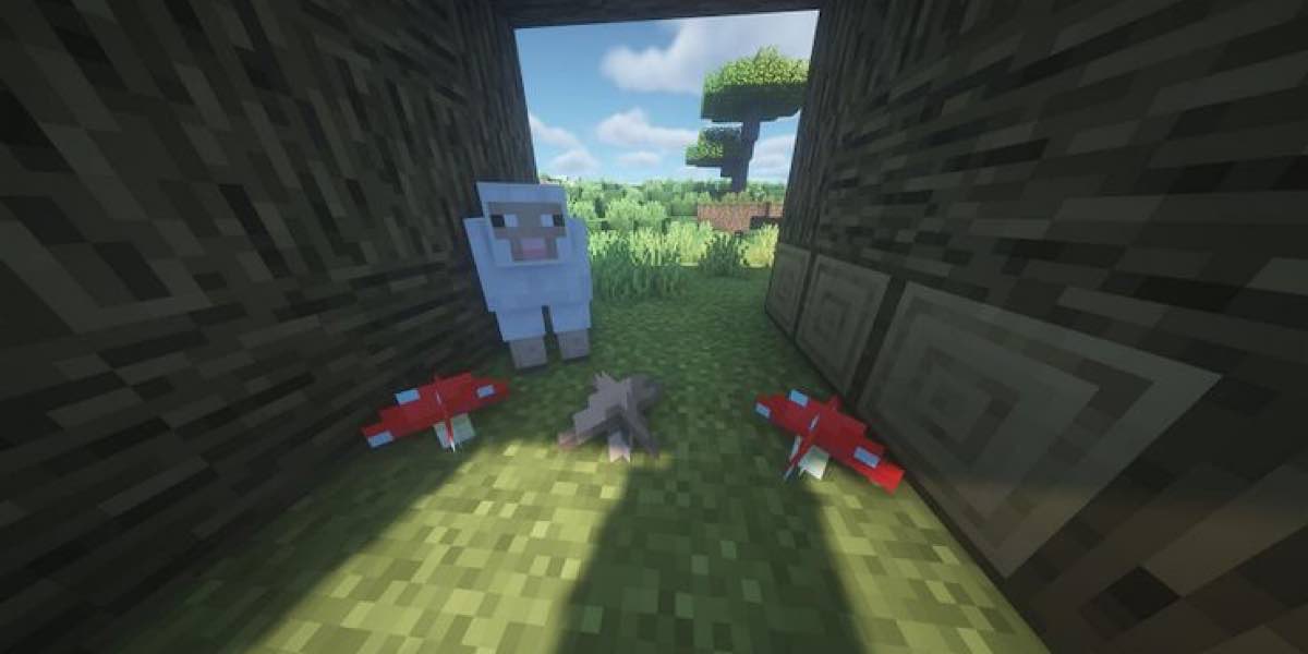 ไบโอม Minecraft 1.19