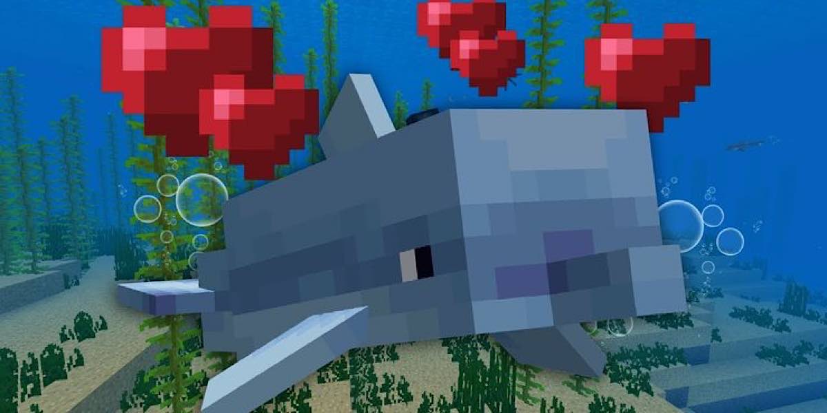 ปลาโลมา Minecraft 1.19
