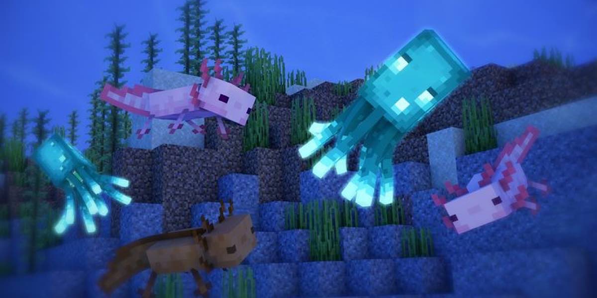 Mobs สัตว์น้ำ Minecraft 1.19
