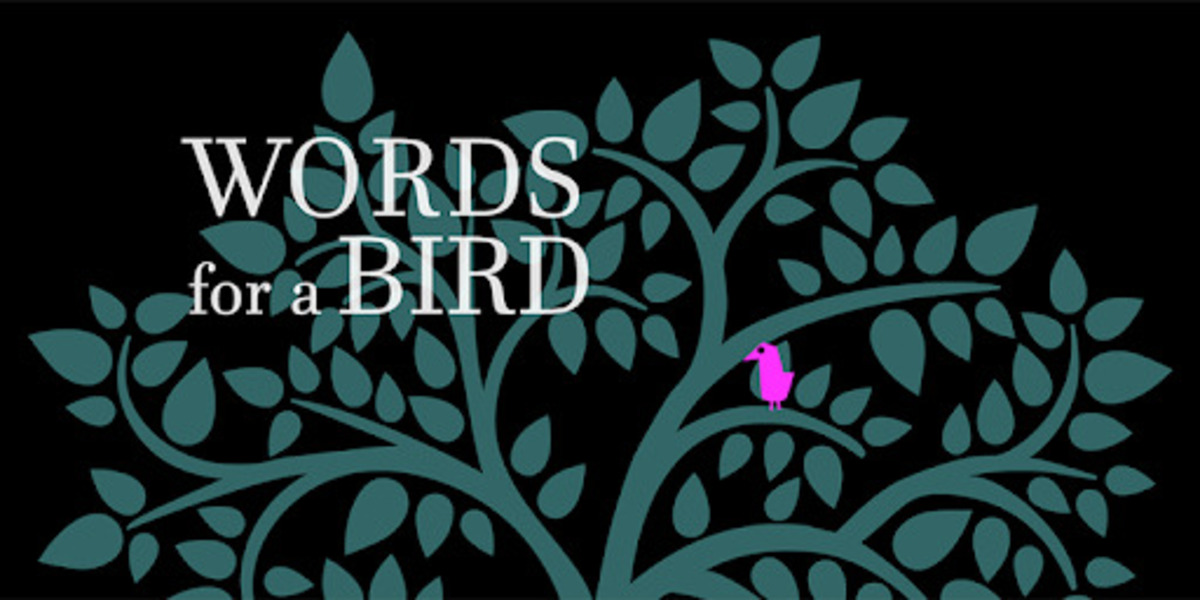 Words for a Bird