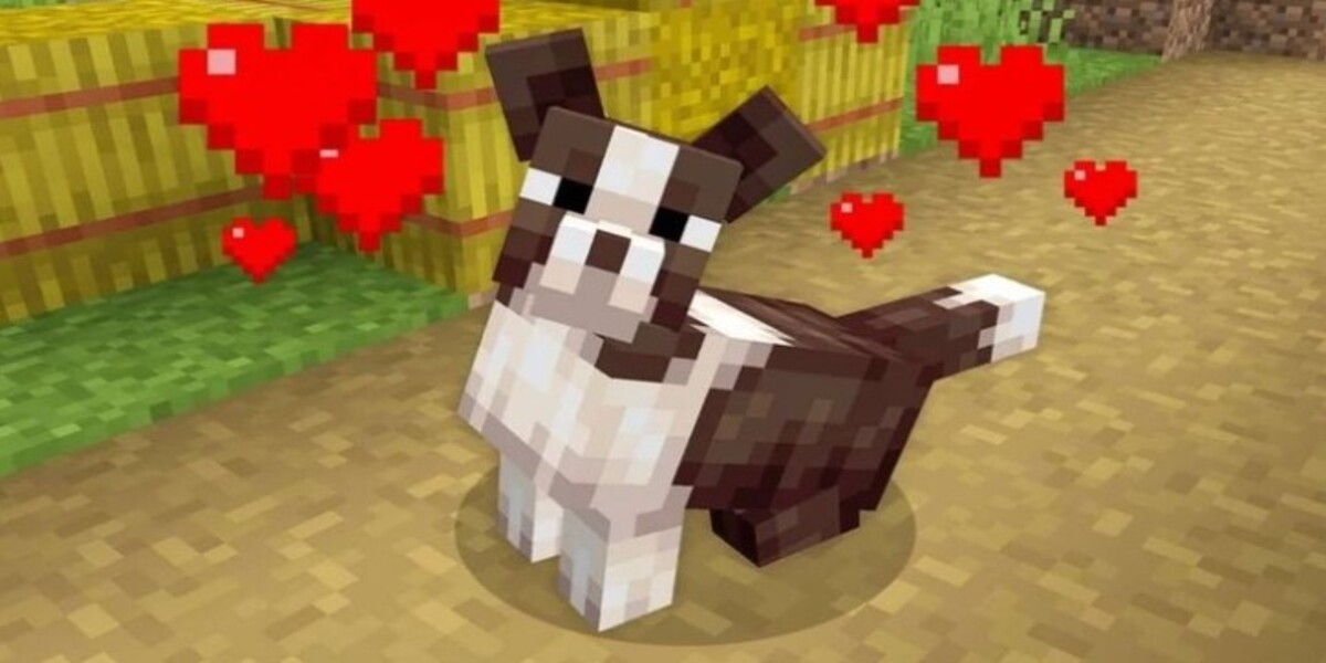 การเลี้ยงสัตว์ Minecraft