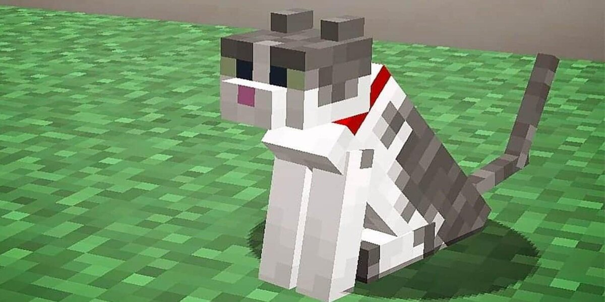 CatsMinecraft