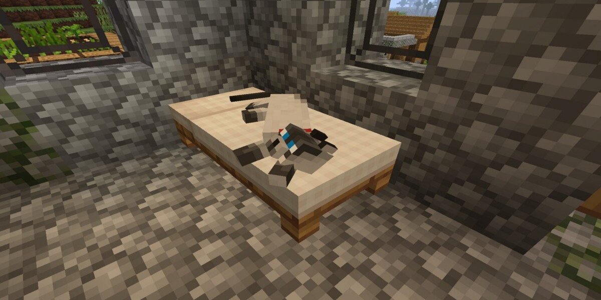 แมว Minecraft