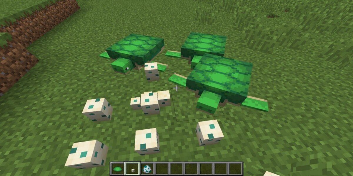 เพาะพันธุ์เต่า Minecraft 1.20 เกมออนไลน์