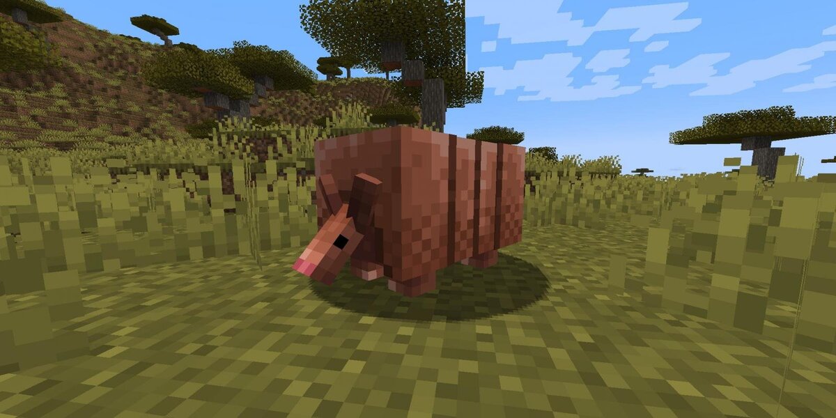 Armadillo Minecraft