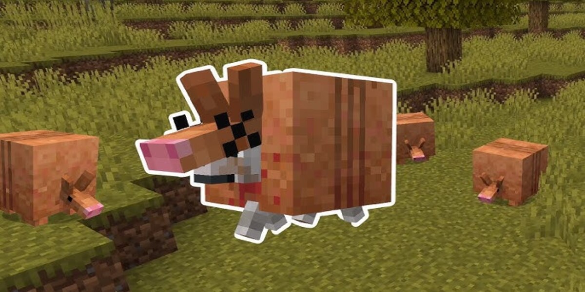 Armadillo ในเกม Minecraft